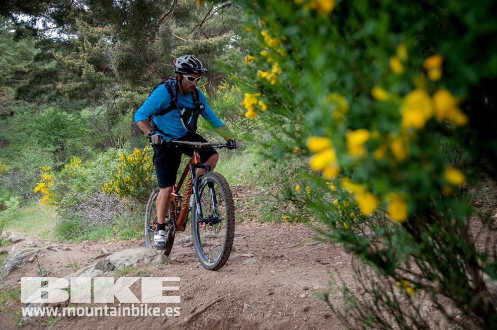 Test The Best 2015. Demo Viernes 29 mayo