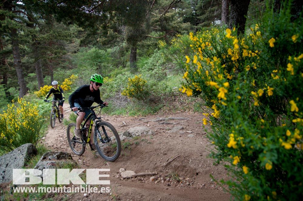 Test The Best 2015. Demo Viernes 29 mayo