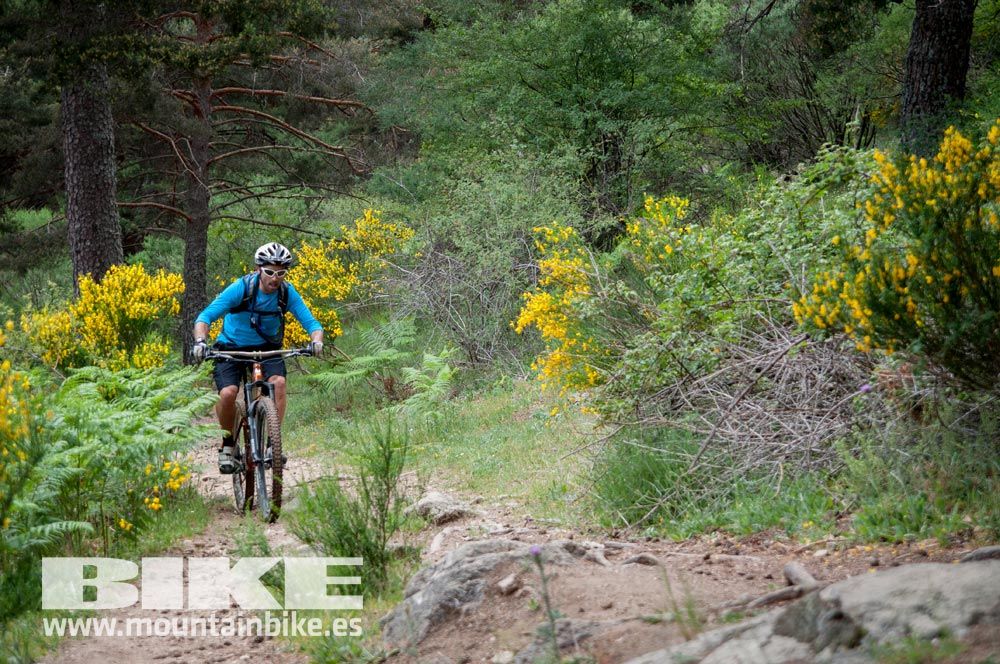 Test The Best 2015. Demo Viernes 29 mayo