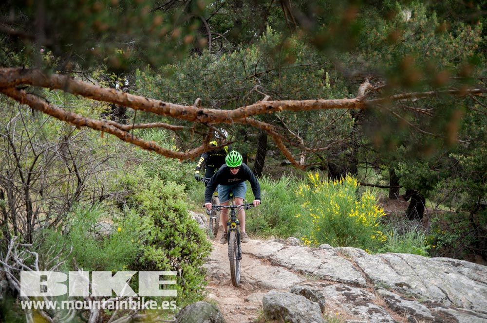 Test The Best 2015. Demo Viernes 29 mayo