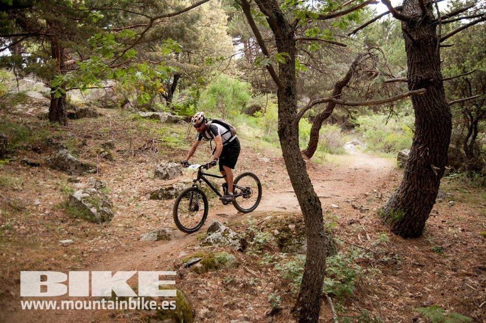 Test The Best 2015. Demo Viernes 29 mayo