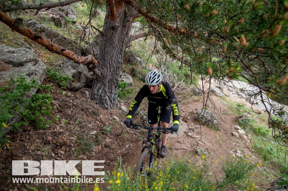 Test The Best 2015. Demo Viernes 29 mayo