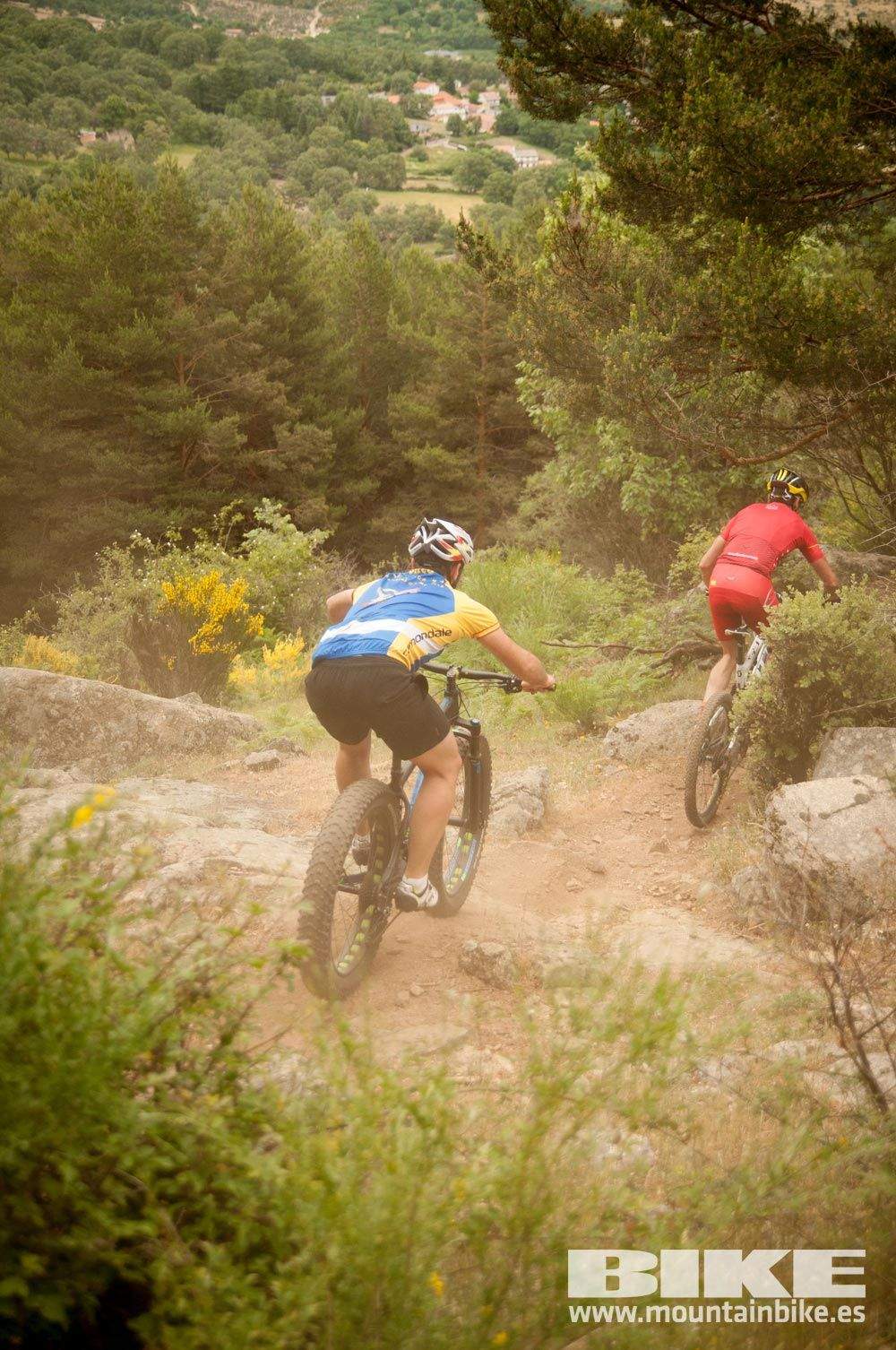 Test The Best 2015. Demo Viernes 29 mayo