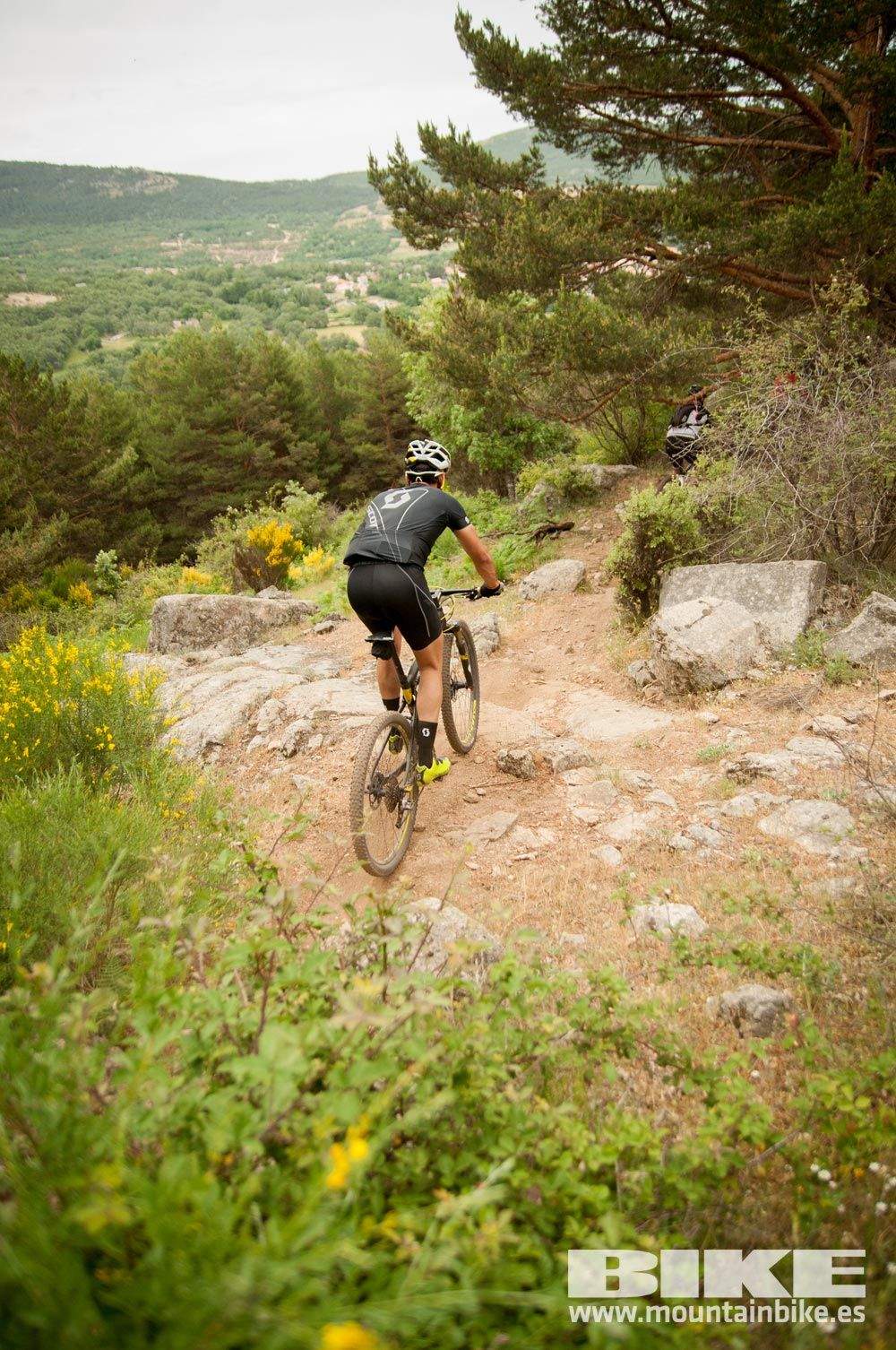 Test The Best 2015. Demo Viernes 29 mayo