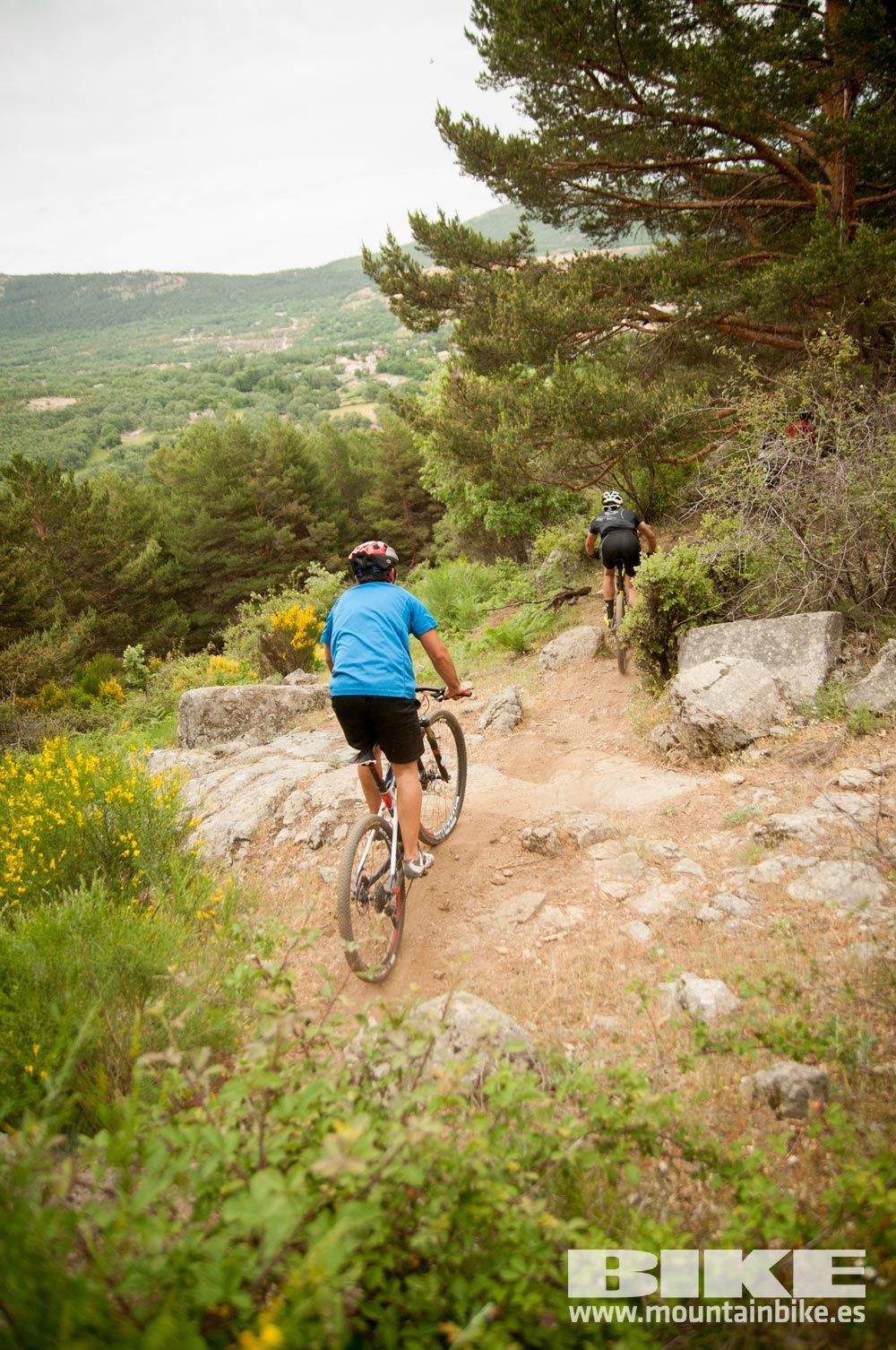 Test The Best 2015. Demo Viernes 29 mayo