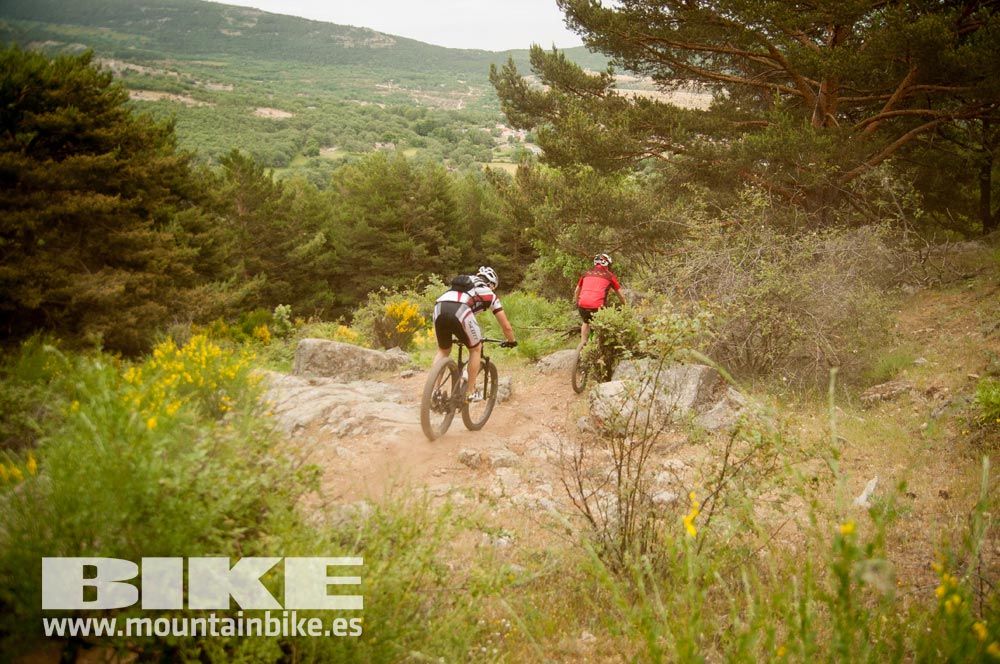 Test The Best 2015. Demo Viernes 29 mayo