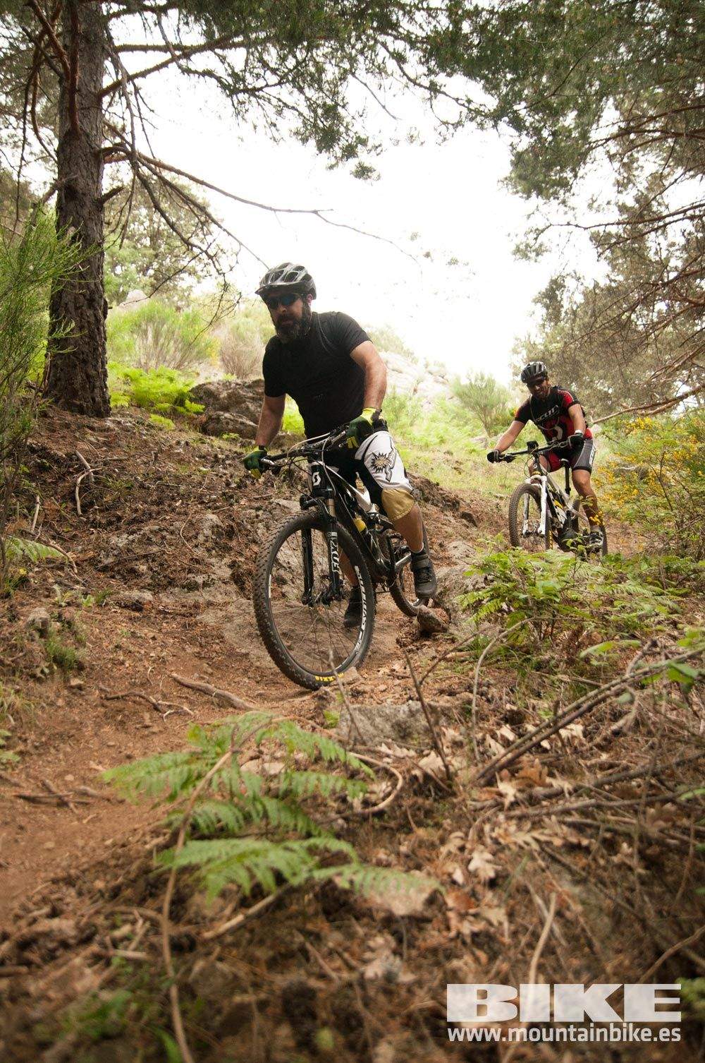Test The Best 2015. Demo Viernes 29 mayo