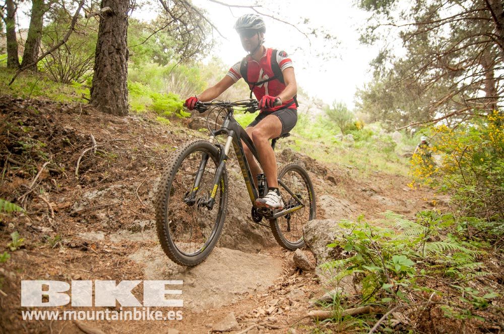 Test The Best 2015. Demo Viernes 29 mayo