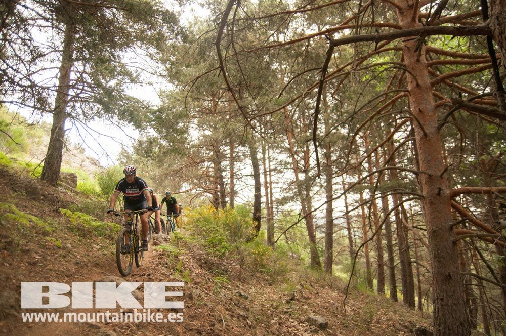 Test The Best 2015. Demo Viernes 29 mayo