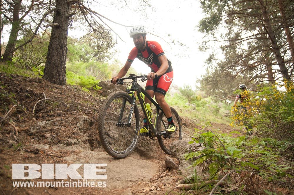 Test The Best 2015. Demo Viernes 29 mayo