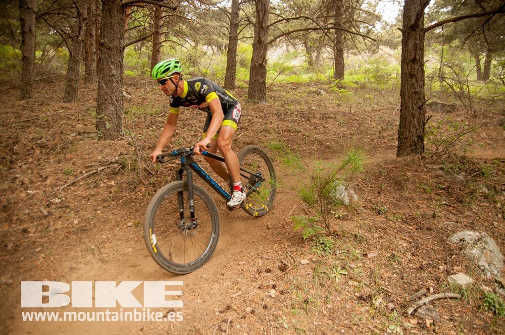 Test The Best 2015. Demo Viernes 29 mayo