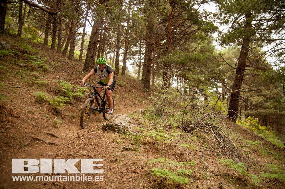 Test The Best 2015. Demo Viernes 29 mayo