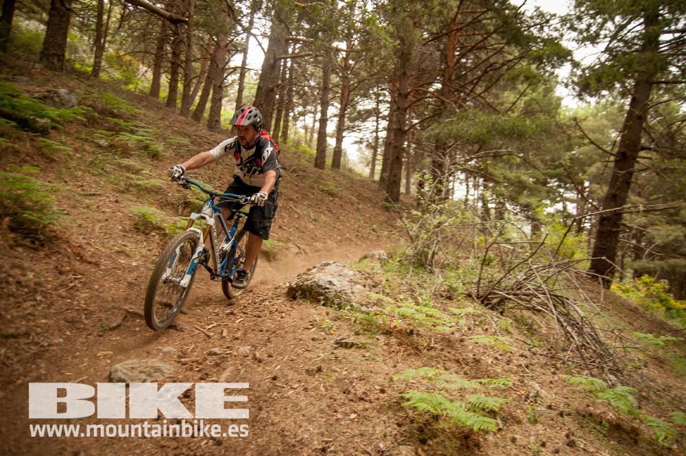 Test The Best 2015. Demo Viernes 29 mayo