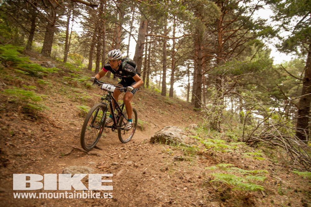 Test The Best 2015. Demo Viernes 29 mayo
