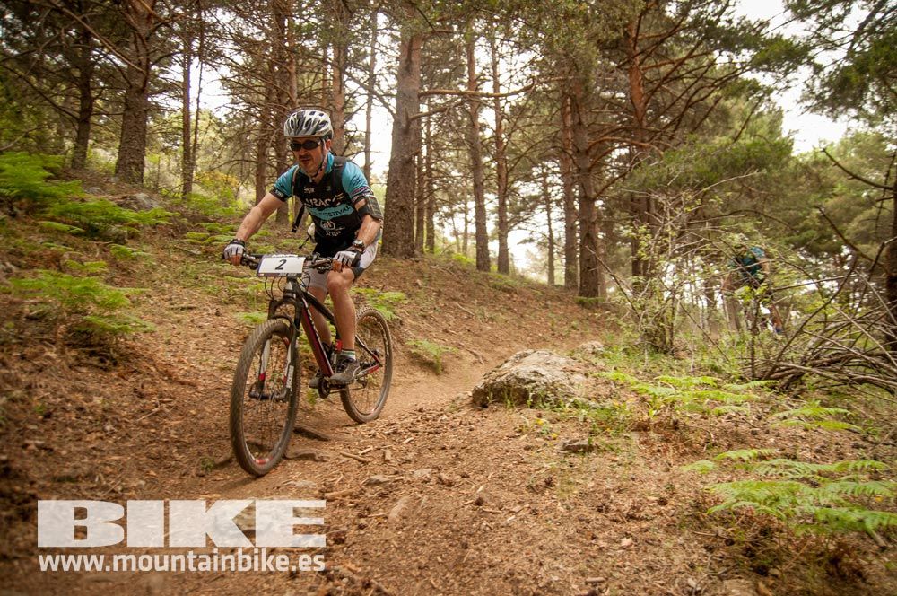 Test The Best 2015. Demo Viernes 29 mayo