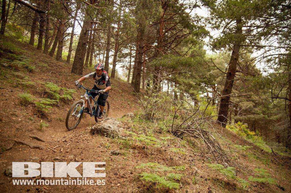 Test The Best 2015. Demo Viernes 29 mayo