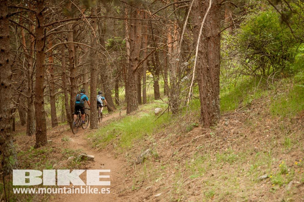 Test The Best 2015. Demo Viernes 29 mayo