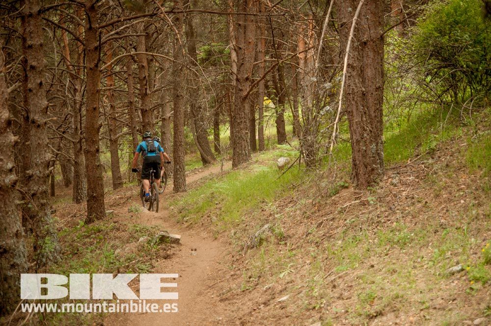Test The Best 2015. Demo Viernes 29 mayo