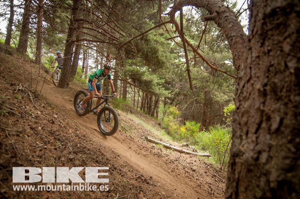 Test The Best 2015. Demo Viernes 29 mayo