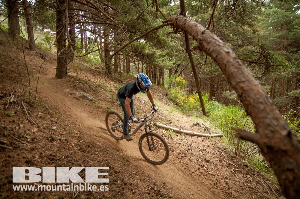 Test The Best 2015. Demo Viernes 29 mayo
