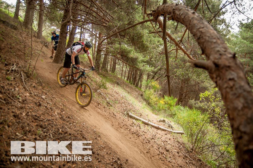 Test The Best 2015. Demo Viernes 29 mayo