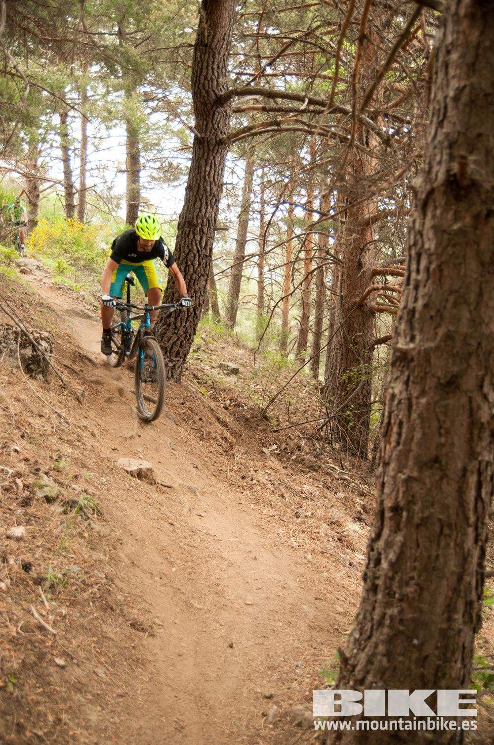 Test The Best 2015. Demo Viernes 29 mayo