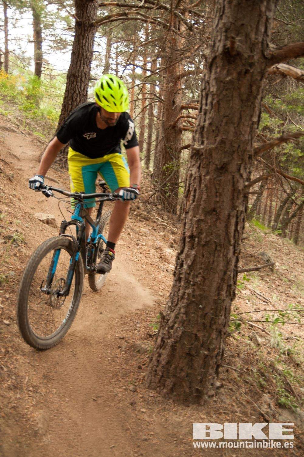 Test The Best 2015. Demo Viernes 29 mayo
