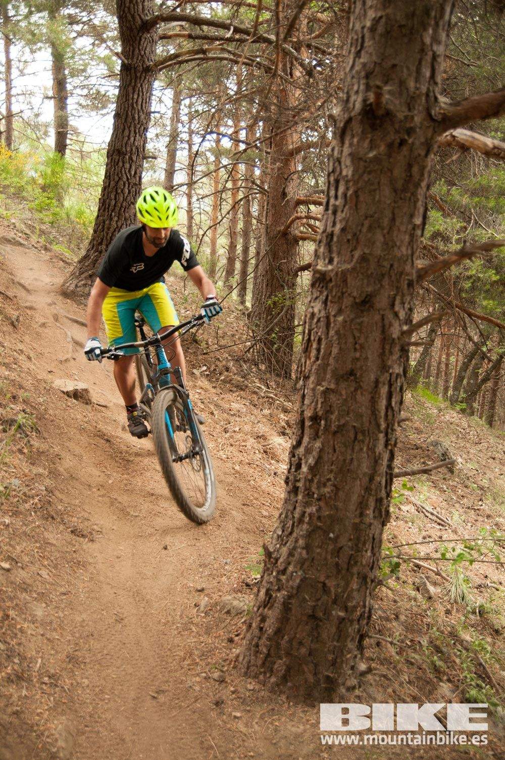 Test The Best 2015. Demo Viernes 29 mayo