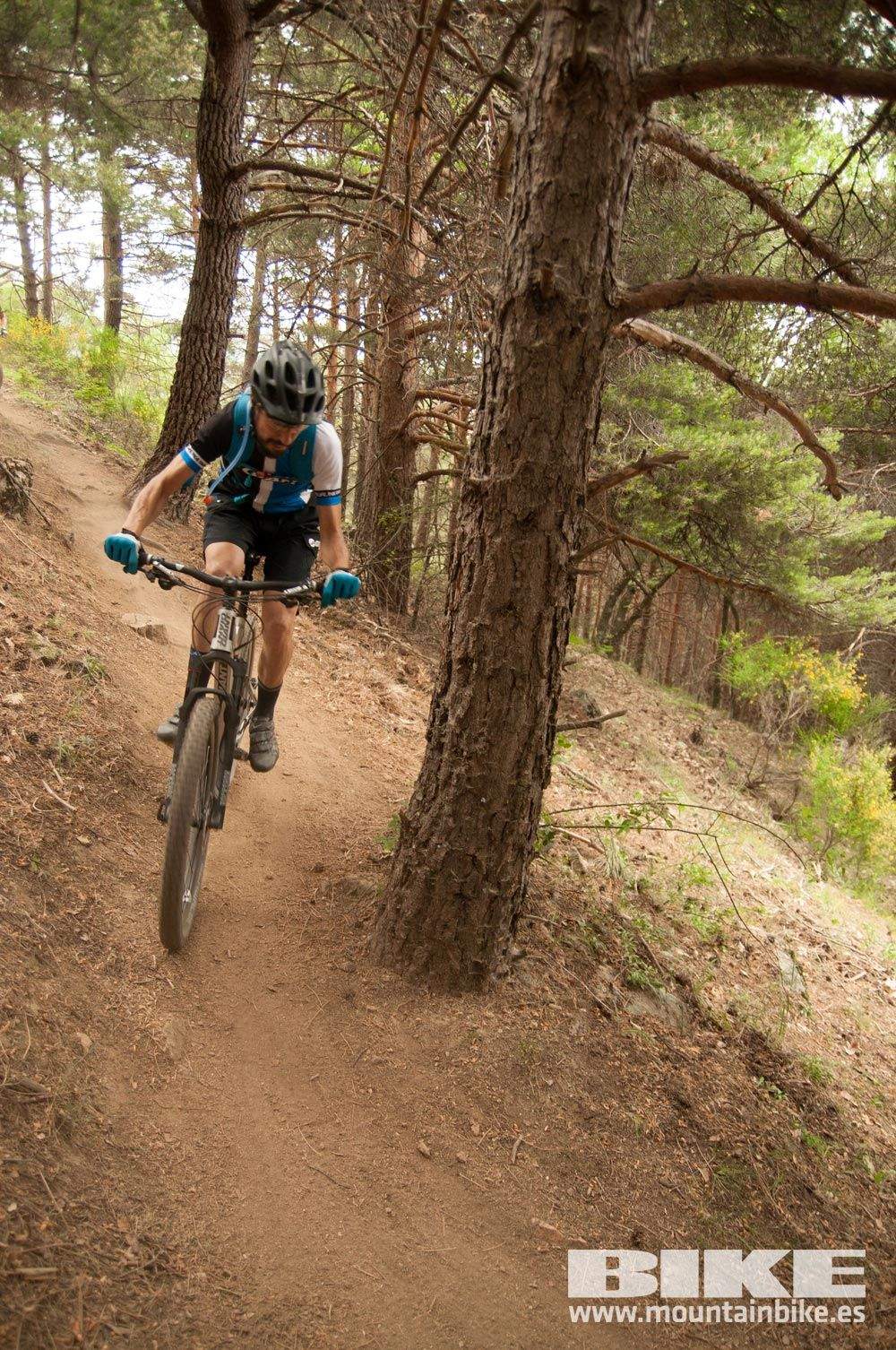 Test The Best 2015. Demo Viernes 29 mayo