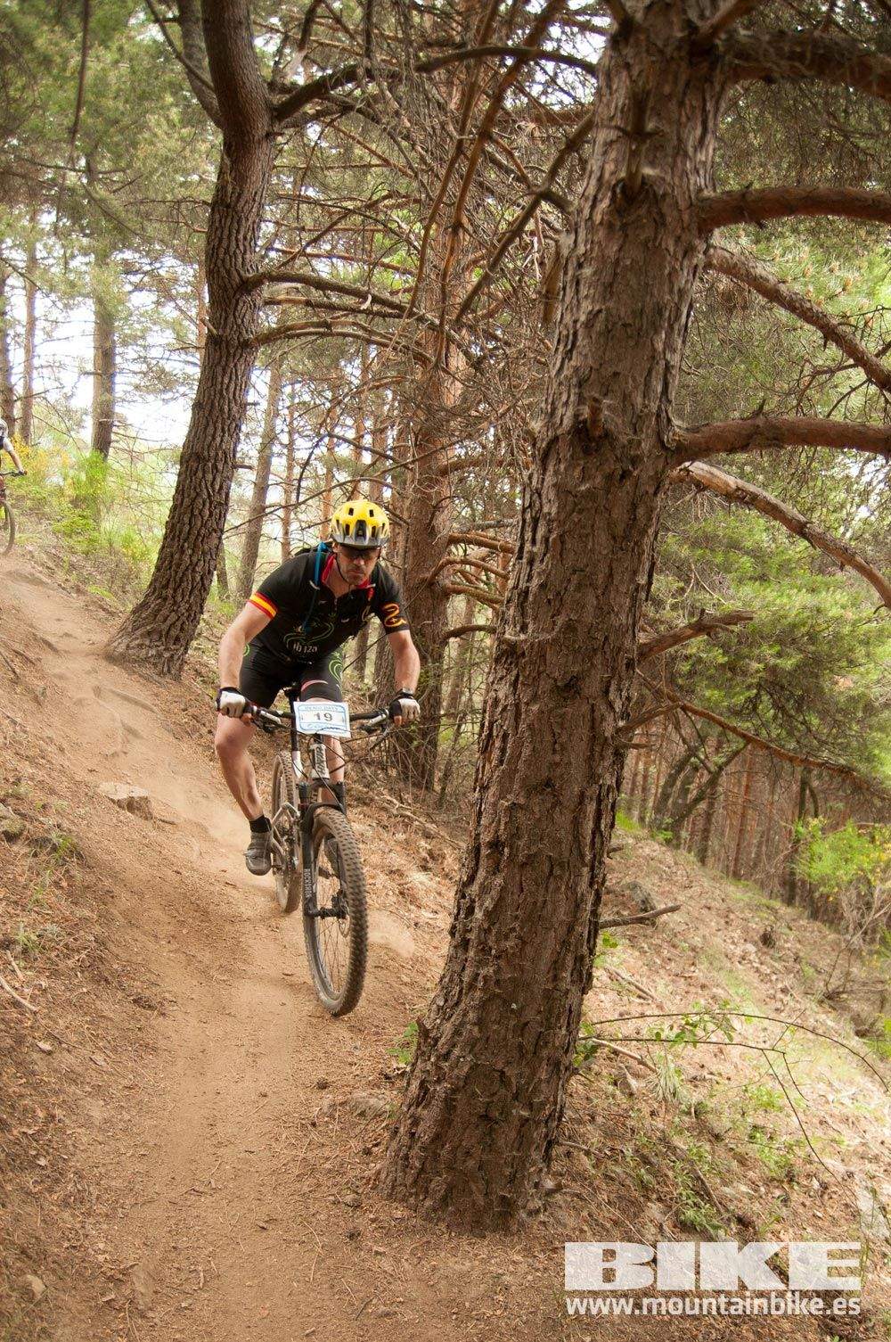 Test The Best 2015. Demo Viernes 29 mayo