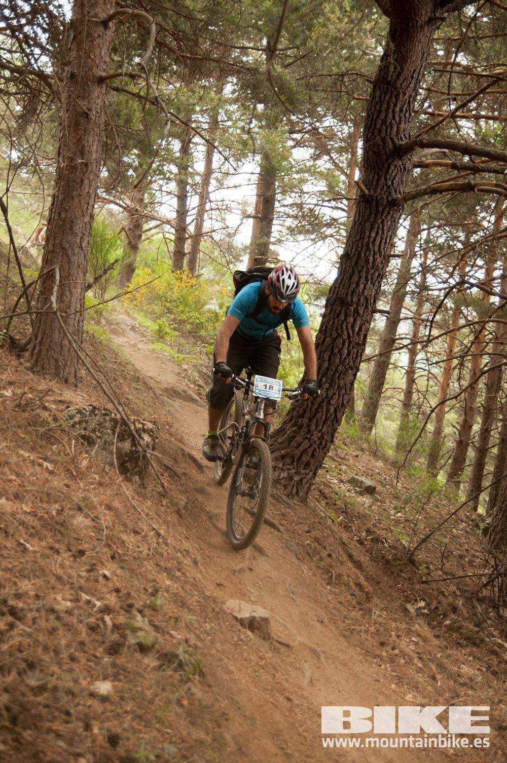 Test The Best 2015. Demo Viernes 29 mayo