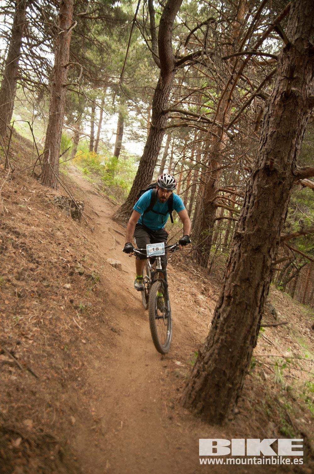Test The Best 2015. Demo Viernes 29 mayo