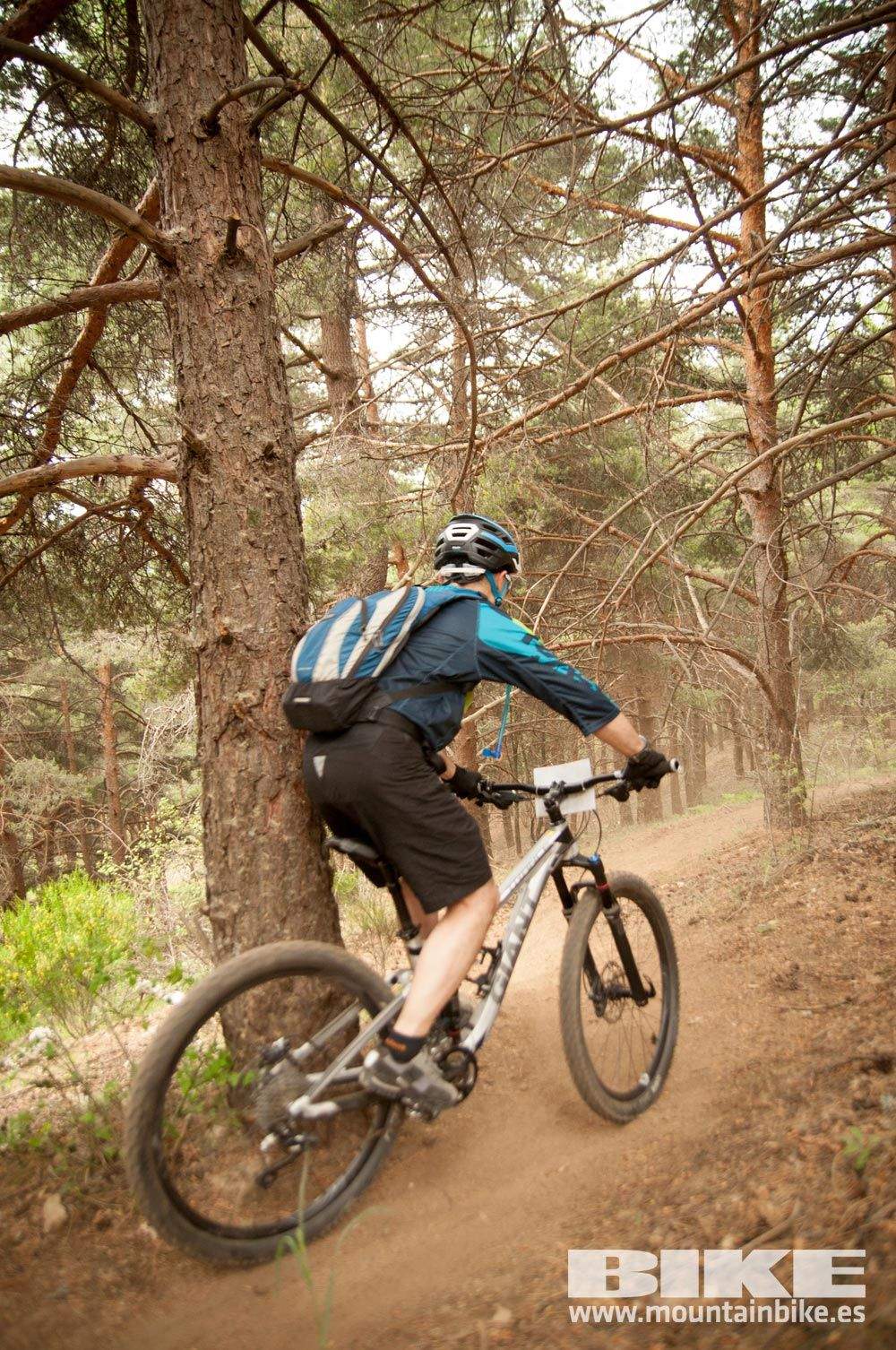Test The Best 2015. Demo Viernes 29 mayo
