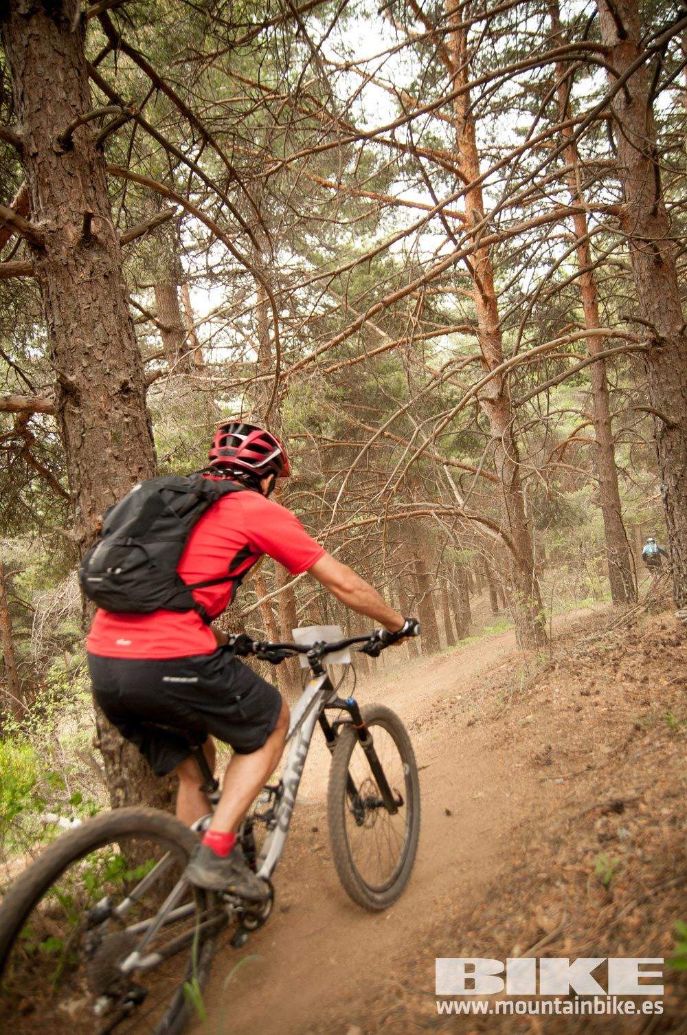 Test The Best 2015. Demo Viernes 29 mayo