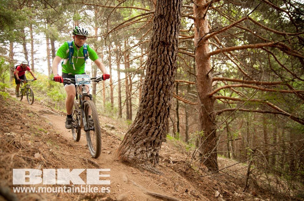 Test The Best 2015. Demo Viernes 29 mayo