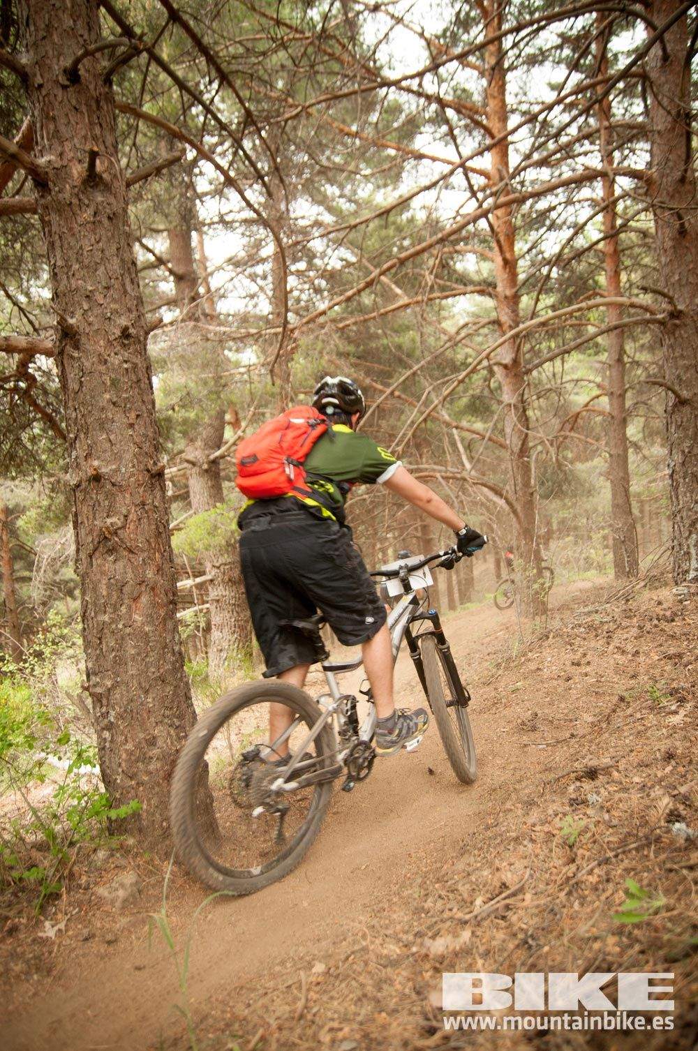 Test The Best 2015. Demo Viernes 29 mayo