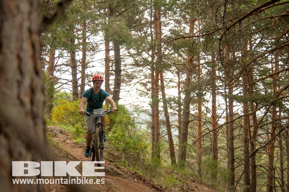 Test The Best 2015. Demo Viernes 29 mayo