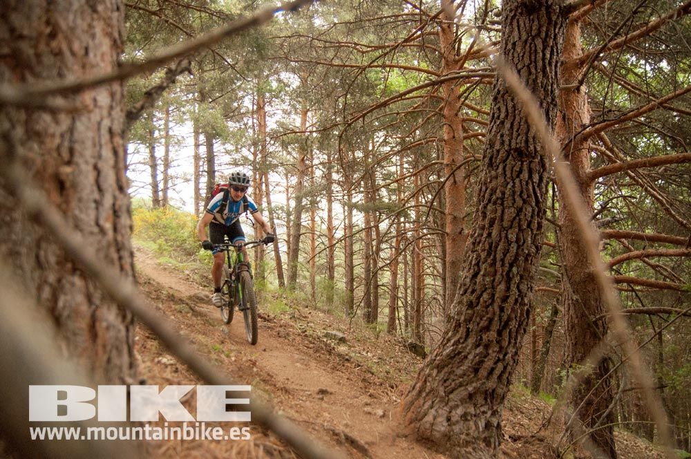 Test The Best 2015. Demo Viernes 29 mayo