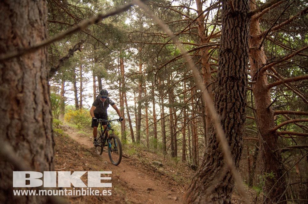 Test The Best 2015. Demo Viernes 29 mayo