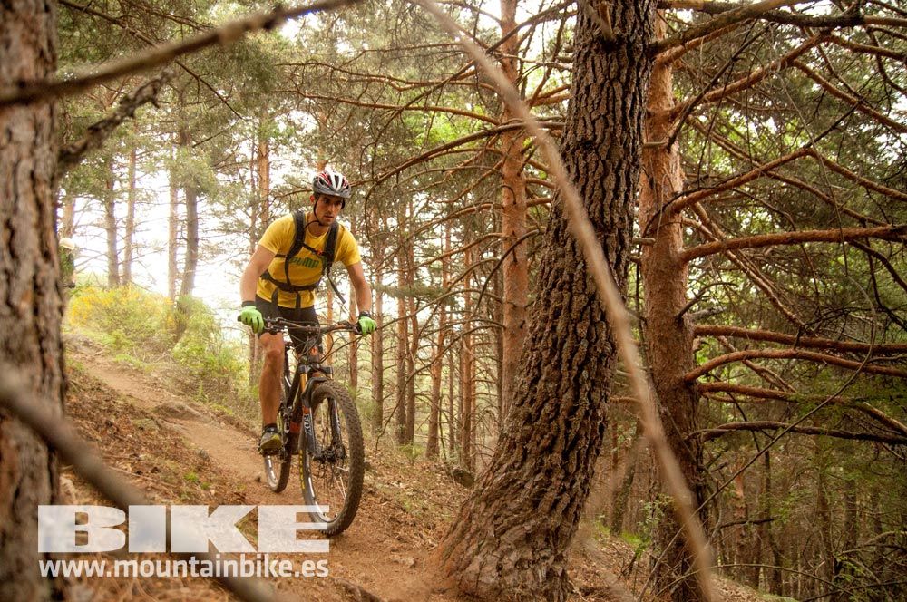 Test The Best 2015. Demo Viernes 29 mayo