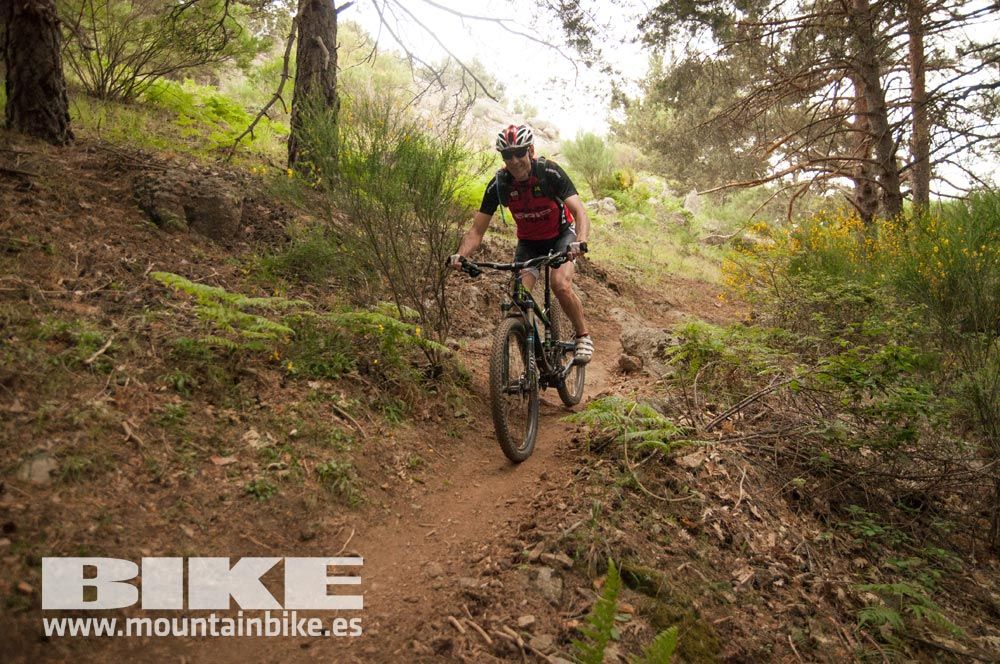 Test The Best 2015. Demo Viernes 29 mayo