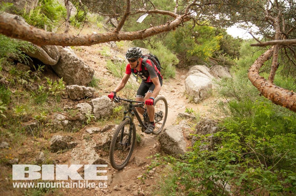 Test The Best 2015. Demo Viernes 29 mayo