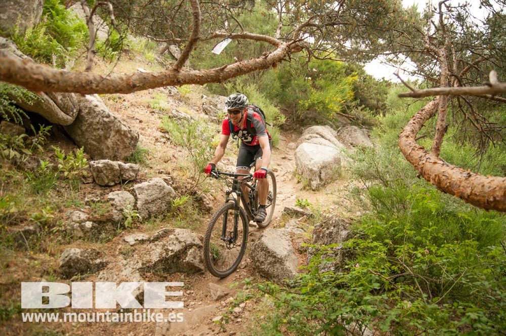 Test The Best 2015. Demo Viernes 29 mayo