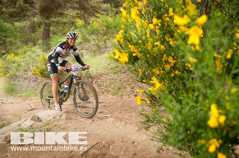 Test The Best 2015. Demo Viernes 29 mayo