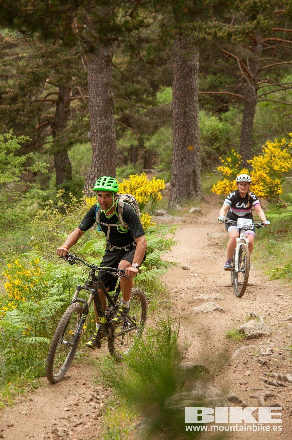 Test The Best 2015. Demo Viernes 29 mayo