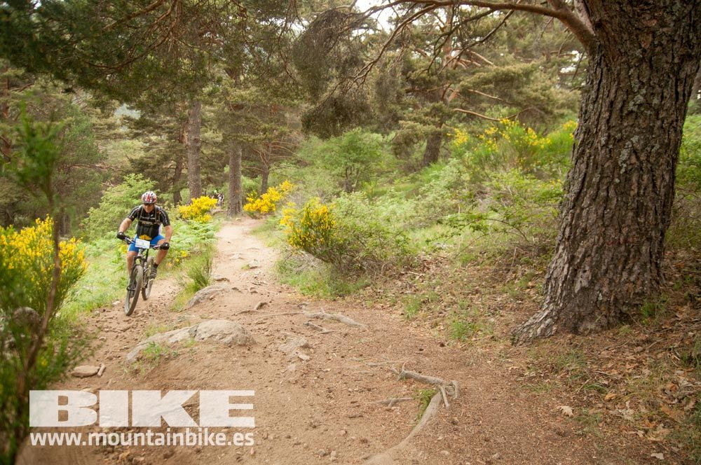 Test The Best 2015. Demo Viernes 29 mayo