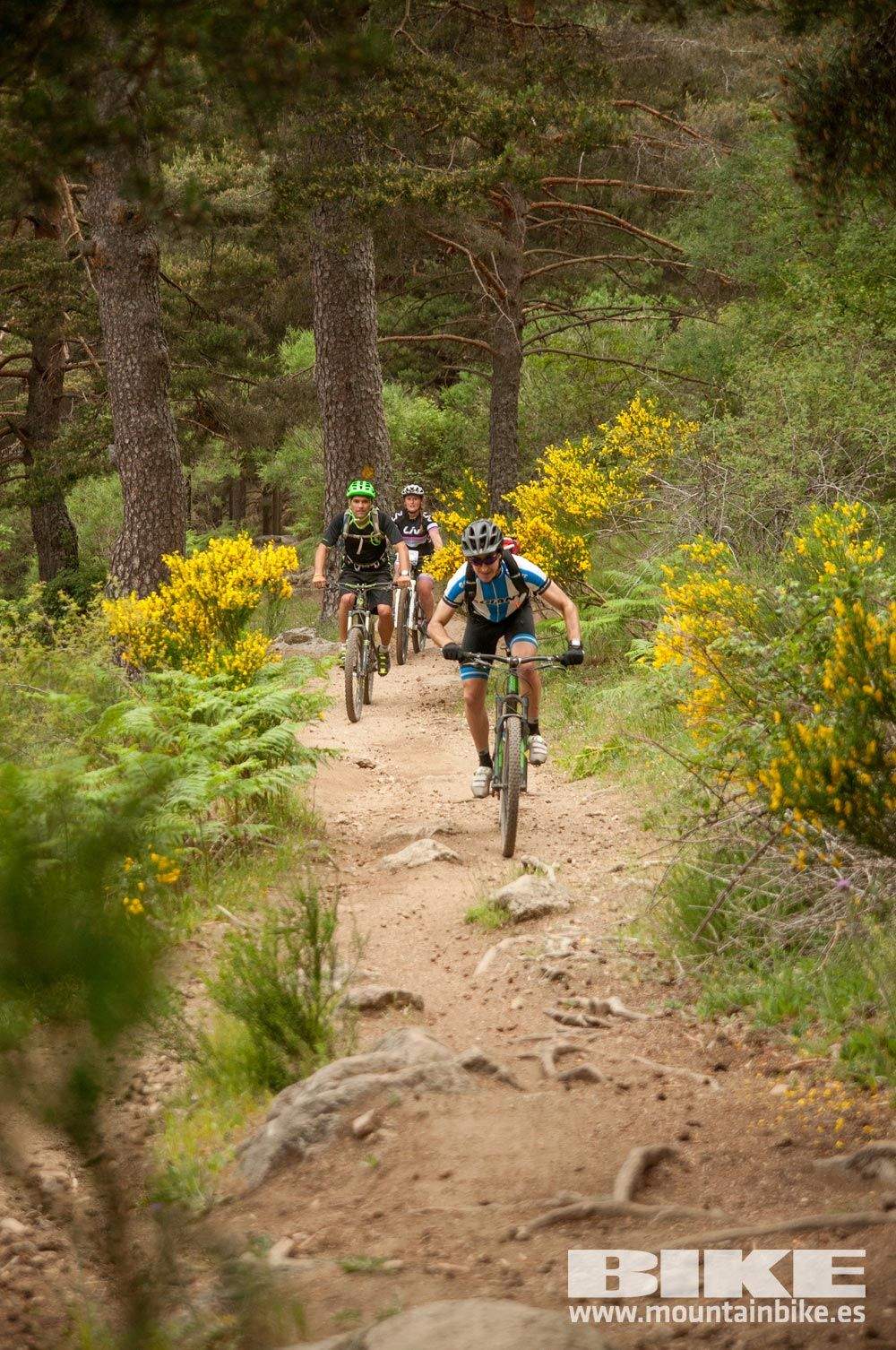 Test The Best 2015. Demo Viernes 29 mayo
