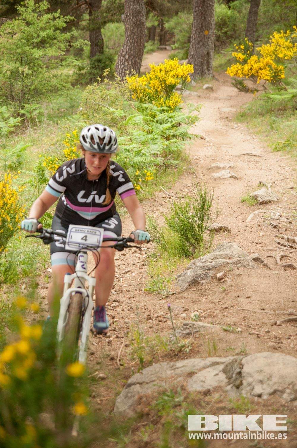 Test The Best 2015. Demo Viernes 29 mayo