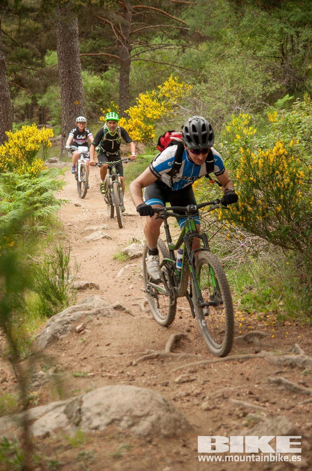 Test The Best 2015. Demo Viernes 29 mayo