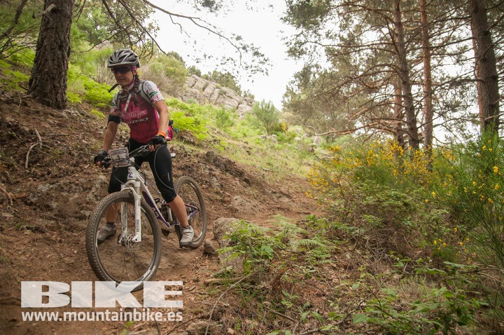 Test The Best 2015. Demo Viernes 29 mayo